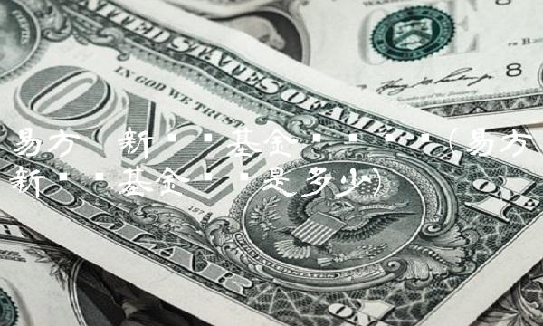 易方达新经济基金净值查询(易方达新经济基金净值是多少)