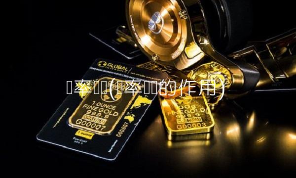 汇率预测(汇率预测的作用)