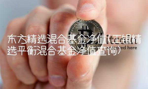东方精选混合基金净值(工银精选平衡混合基金净值查询)