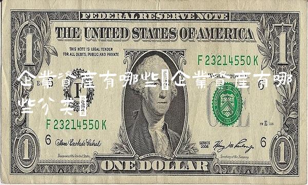 企业资产有哪些(企业资产有哪些分类)