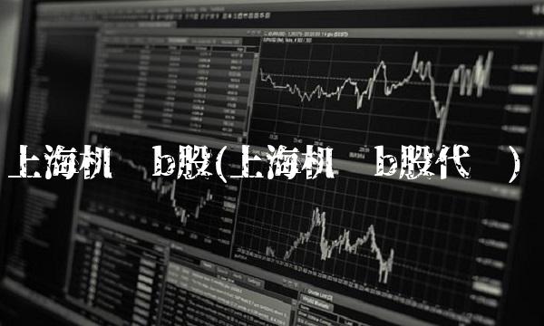 上海机电b股(上海机电b股代码)