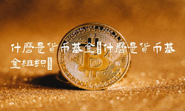什么是货币基金(什么是货币基金组织)