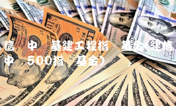 信诚中证基建工程指数基金(建信中证500指数基金)