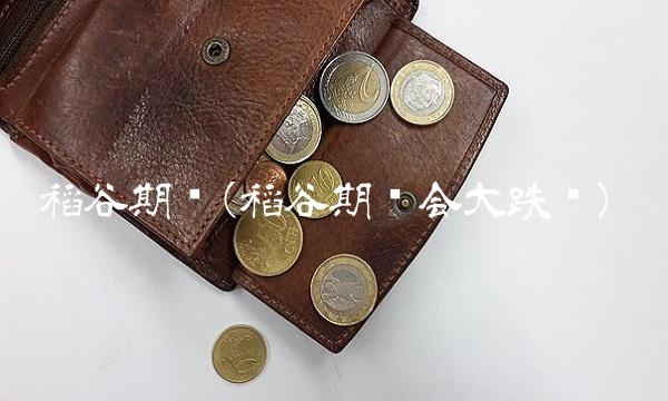 稻谷期货(稻谷期货会大跌吗)