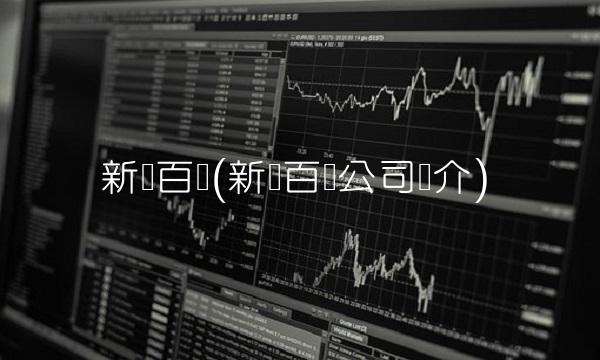 新华百货(新华百货公司简介)