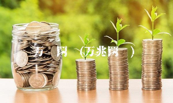 万胜网络(万兆网络)