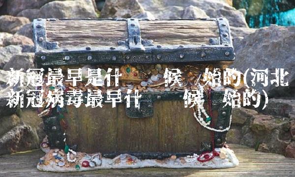 新冠最早是什么时候开始的(河北新冠病毒最早什么时候开始的)