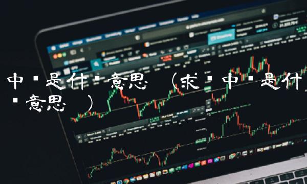 中签是什么意思啊(求签中签是什么意思啊)