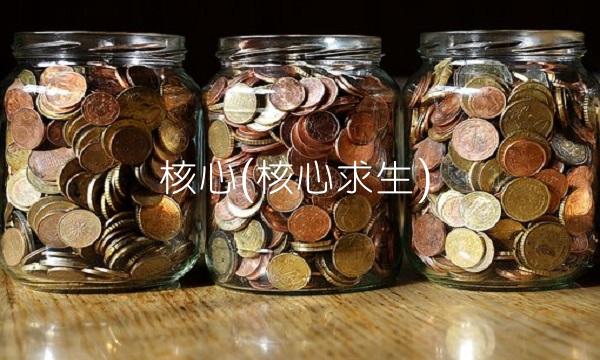 核心(核心求生)