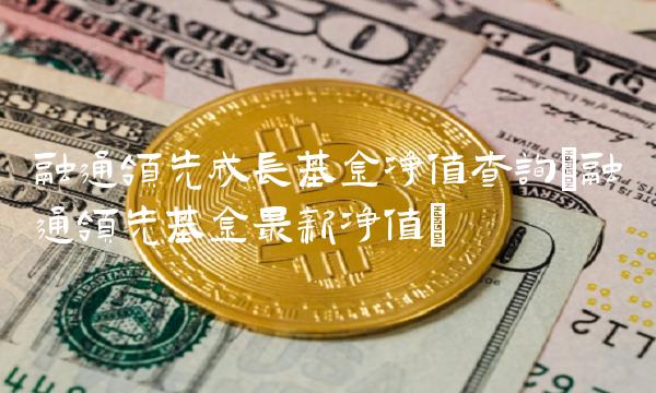 融通领先成长基金净值查询(融通领先基金最新净值)