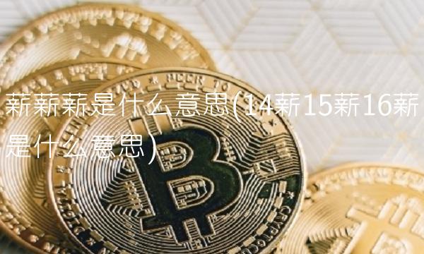 薪薪薪是什么意思(14薪15薪16薪是什么意思)