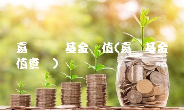 嘉实稳键基金净值(嘉实基金净值查询)