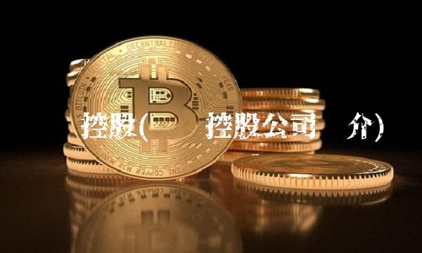 汇丰控股(汇丰控股公司简介)