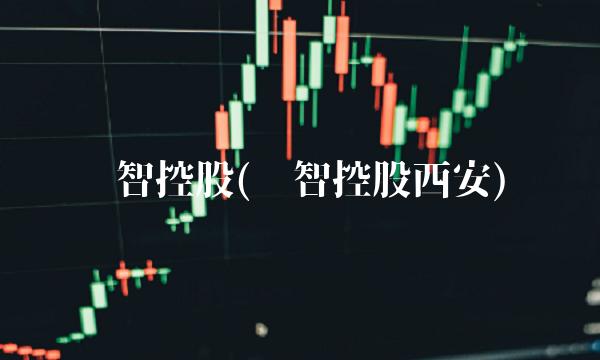 华智控股(华智控股西安)