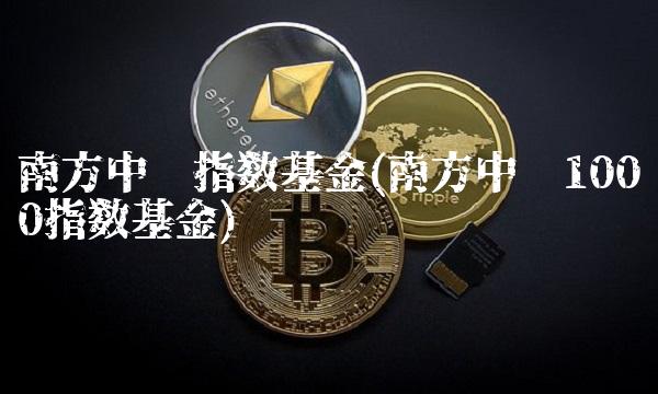 南方中证指数基金(南方中证1000指数基金)