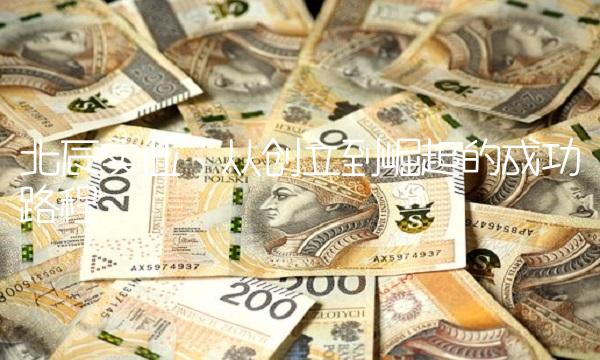 北辰实业：从创立到崛起的成功路程