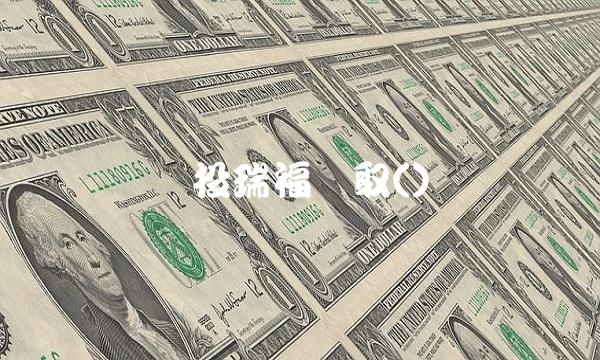 国投瑞福进取()