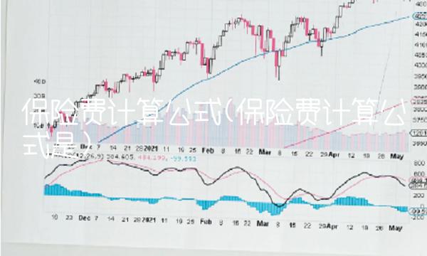 保险费计算公式(保险费计算公式是)