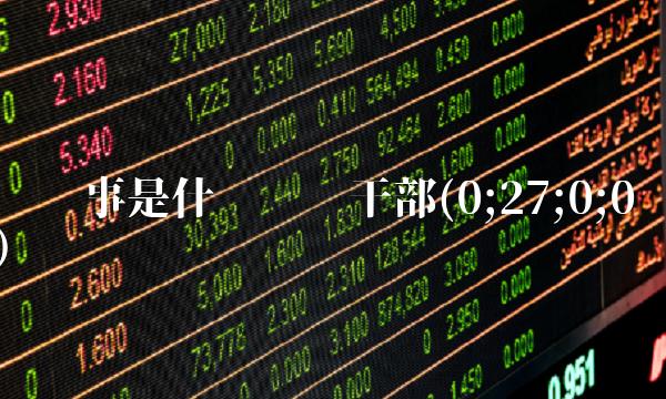 总领事是什么级别干部(0;27;0;0)