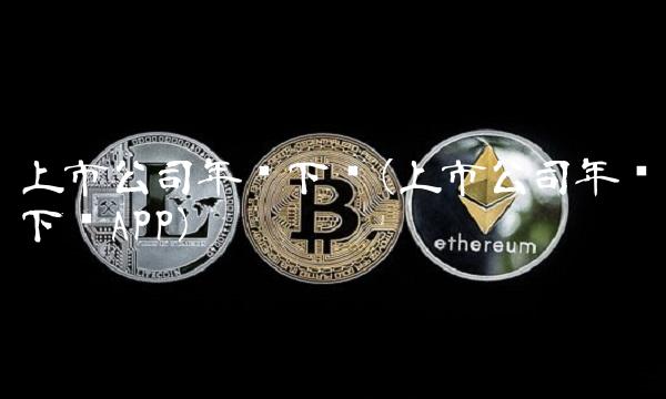 上市公司年报下载(上市公司年报下载APP)