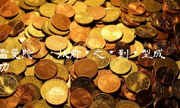 雷曼股份：从前车之鉴到转型成功