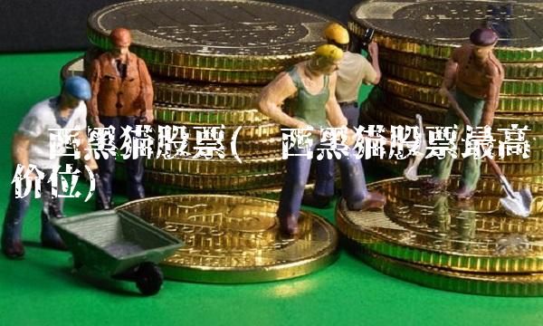 陕西黑猫股票(陕西黑猫股票最高价位)