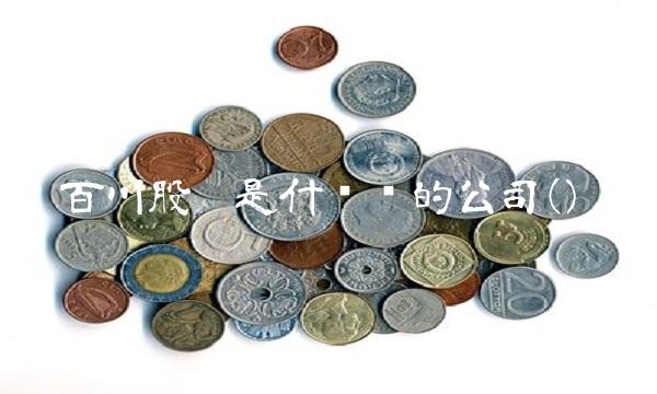 百川股份是什么样的公司()