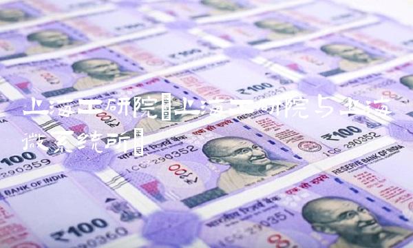 上海工研院(上海工研院与上海微系统所)