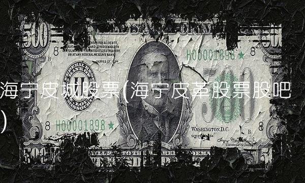 海宁皮城股票(海宁皮革股票股吧)