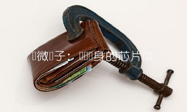 华微电子：华丽转身的芯片龙头