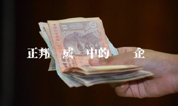 正邦——成长中的领军企业