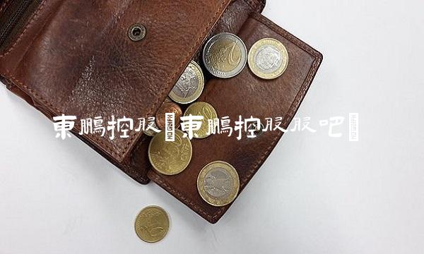 东鹏控股(东鹏控股股吧)
