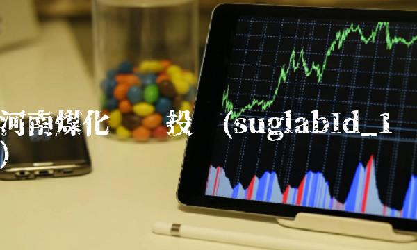 河南煤化银鸽投资(suglabId_1)