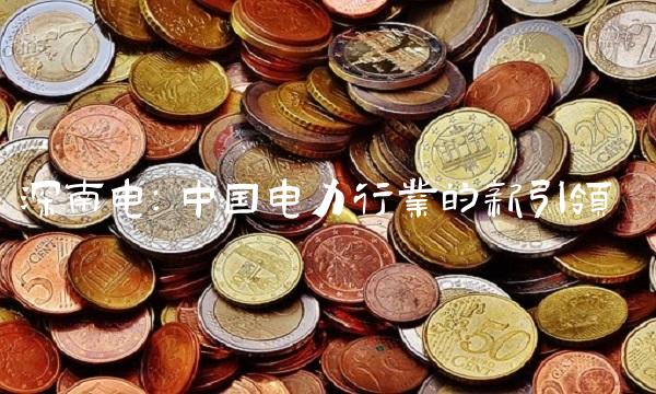 深南电：中国电力行业的新引领