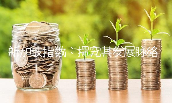 新加坡指数：探究其发展脉络