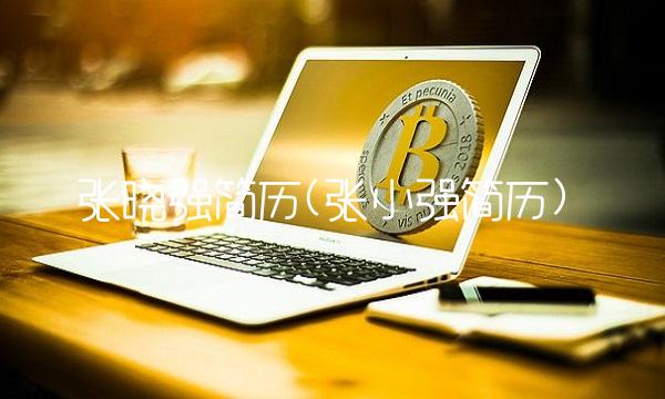张晓强简历(张小强简历)