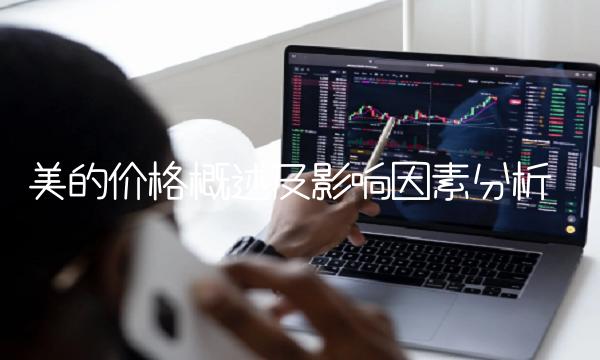 美的价格概述及影响因素分析