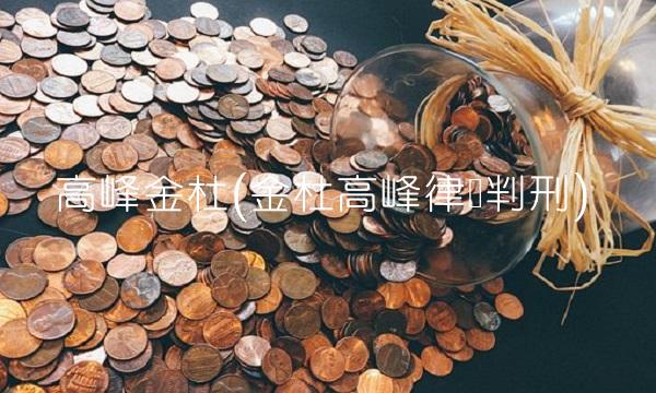 高峰金杜(金杜高峰律师判刑)