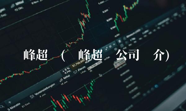 华峰超纤(华峰超纤公司简介)