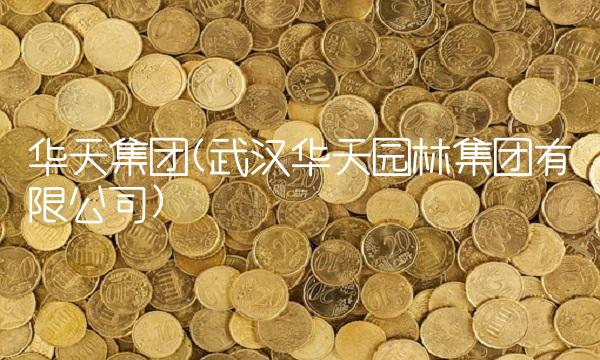 华天集团(武汉华天园林集团有限公司)