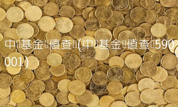 中邮基金净值查询(中邮基金净值查询590001)