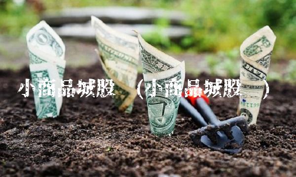 小商品城股吧(小商品城股吧)