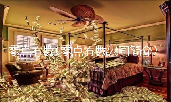 零点有数(零点有数公司简介)