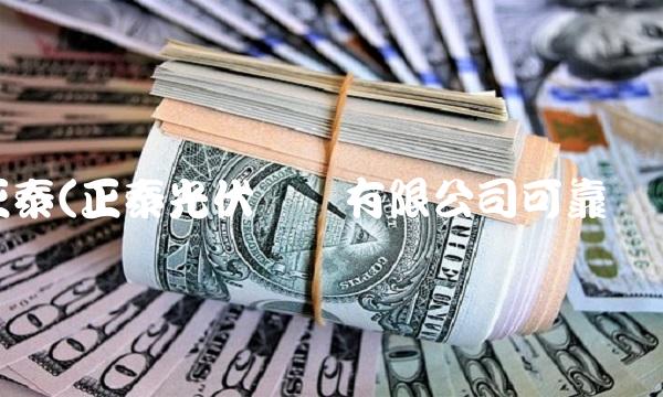 正泰(正泰光伏发电有限公司可靠吗)