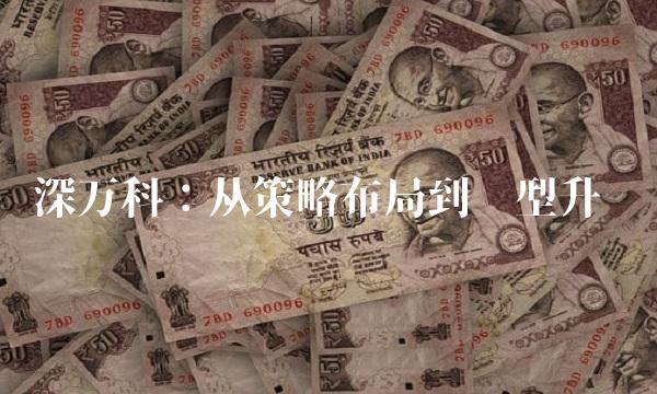 深万科：从策略布局到转型升级