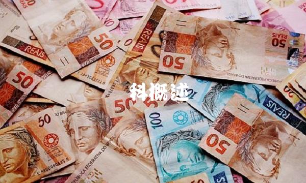 龙科概述