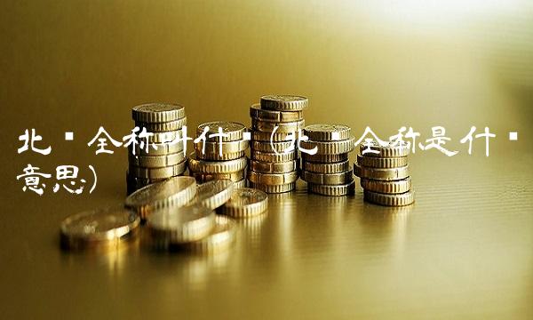 北约全称叫什么(北约全称是什么意思)