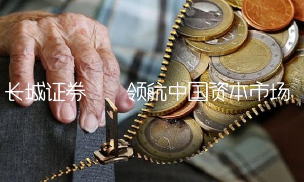 长城证券——领航中国资本市场