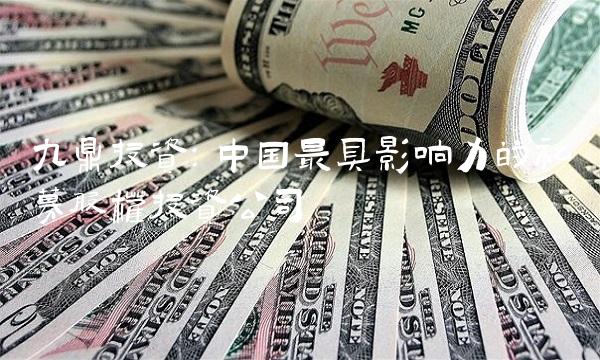 九鼎投资：中国最具影响力的私募股权投资公司