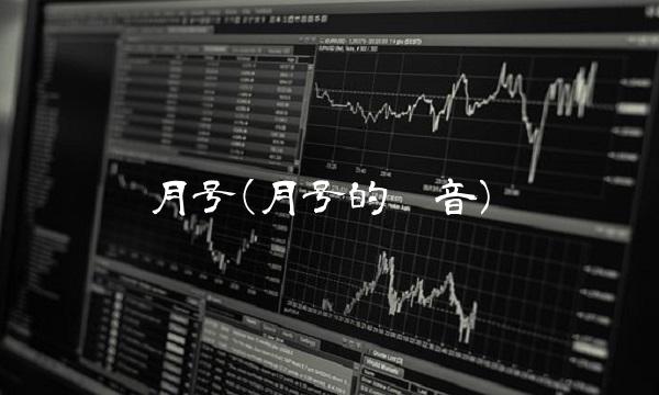 月号(月号的拼音)